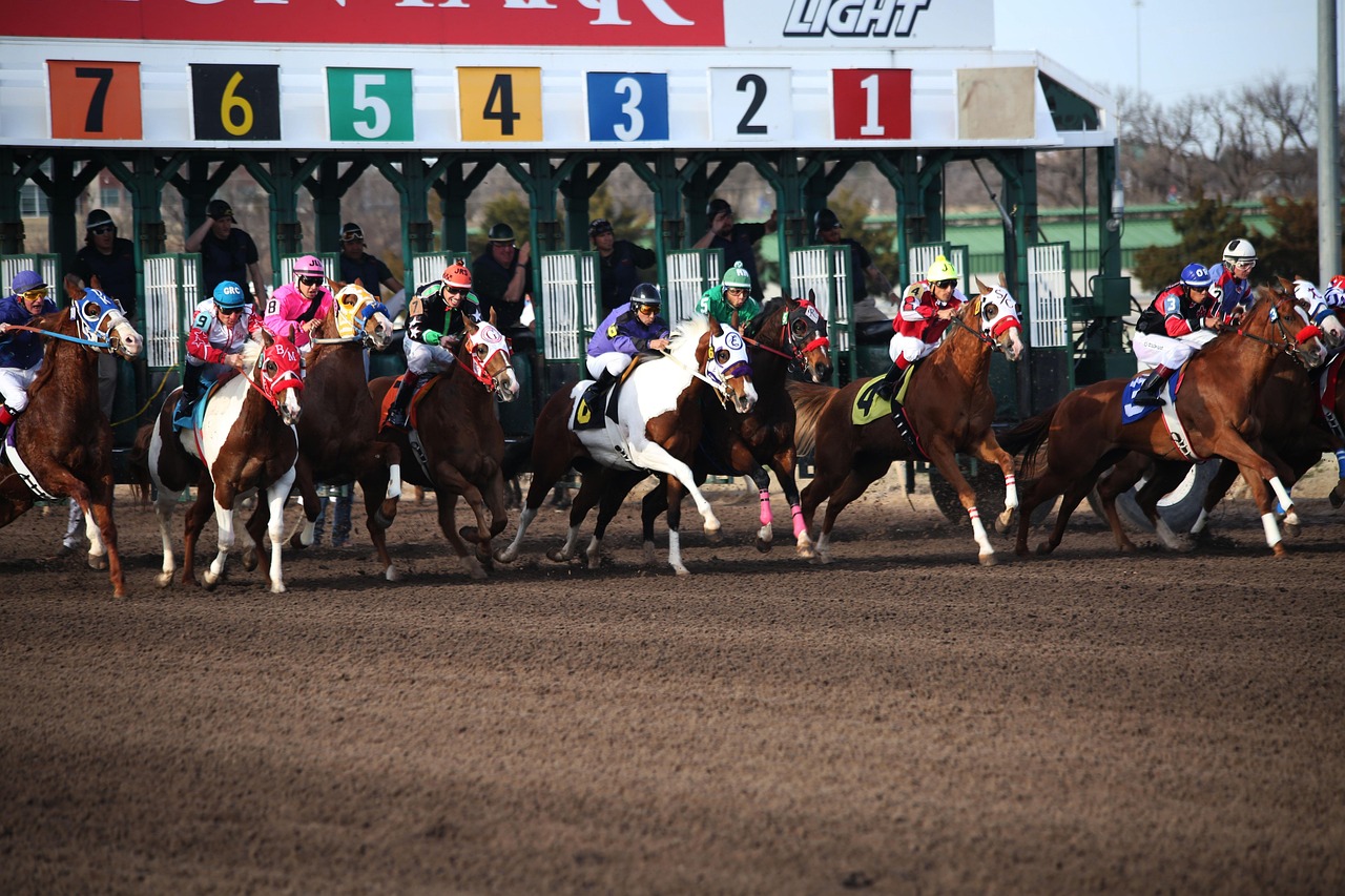 Verified Popular Horse Racing Betting Apps India 2027 Review 2026: Bonus, App, Withdrawal Tested